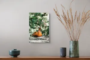Tablou Canvas, "Rață roșcată odihnindu-se în pădure", 26 x 39 cm – poza 5