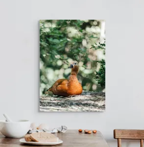 Tablou Canvas, "Rață roșcată odihnindu-se în pădure", 50 x 70 cm – poza 3