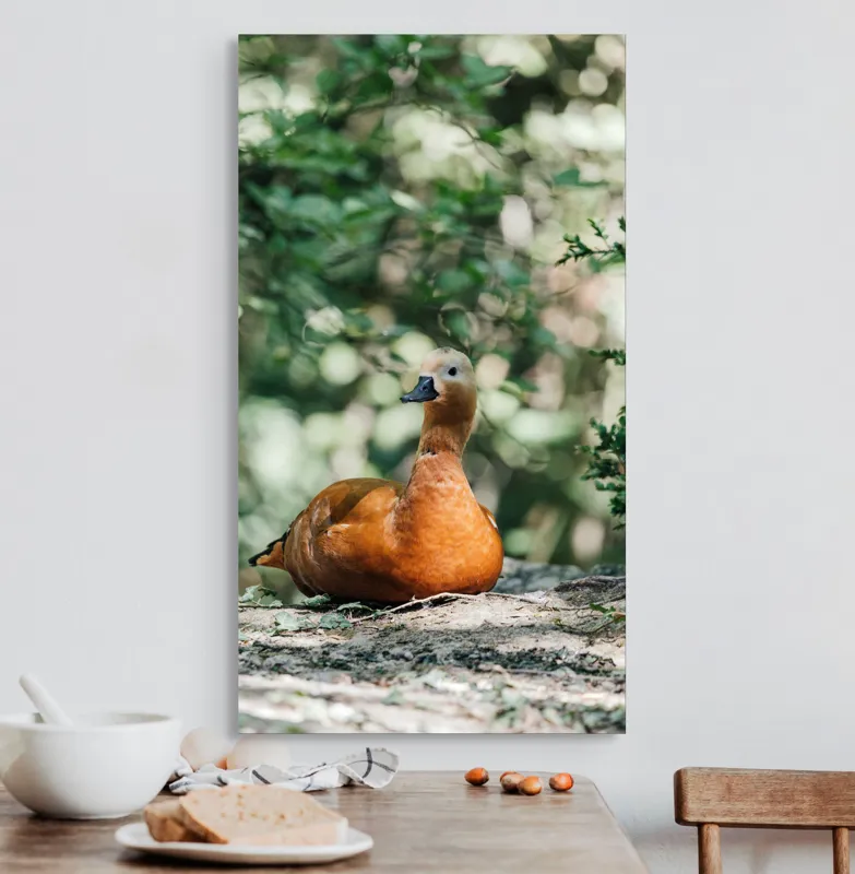Tablou Canvas, "Rață roșcată odihnindu-se în pădure", 50 x 90 cm – poza 3