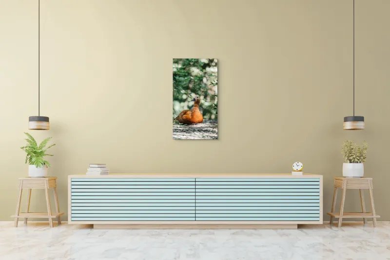 Tablou Canvas, "Rață roșcată odihnindu-se în pădure", 50 x 90 cm – poza 6