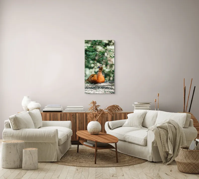 Tablou Canvas, "Rață roșcată odihnindu-se în pădure", 50 x 90 cm – poza 7