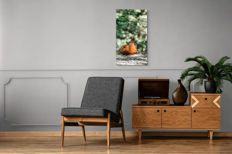Tablou Canvas, "Rață roșcată odihnindu-se în pădure", 50 x 90 cm – poza 8