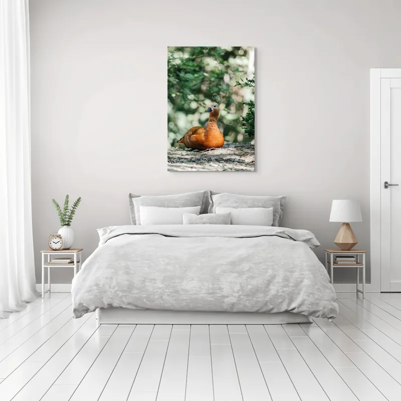 Tablou Canvas, "Rață roșcată odihnindu-se în pădure", 70 x 100 cm – poza 3