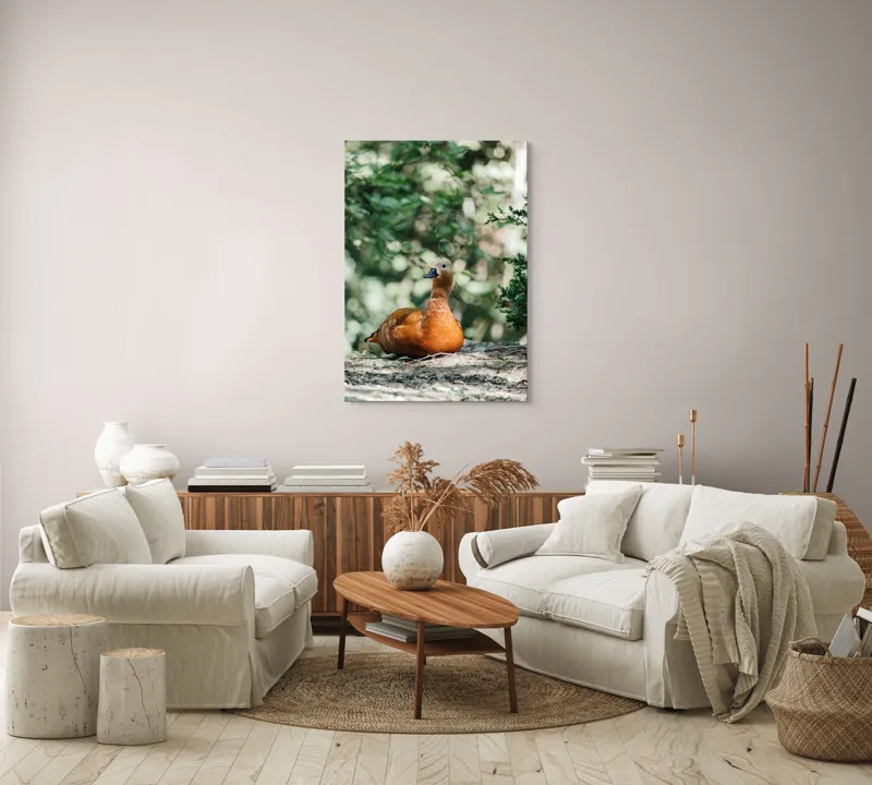 Tablou Canvas, "Rață roșcată odihnindu-se în pădure", 70 x 100 cm – poza 4