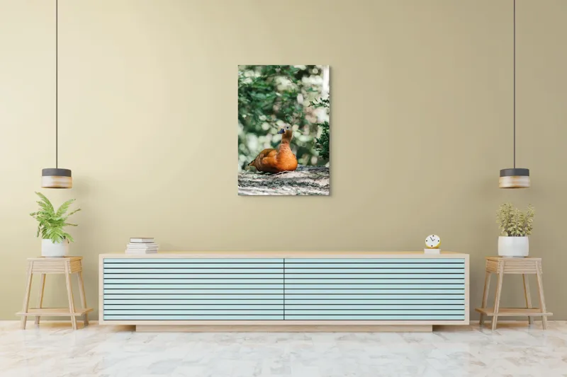 Tablou Canvas, "Rață roșcată odihnindu-se în pădure", 70 x 100 cm – poza 5