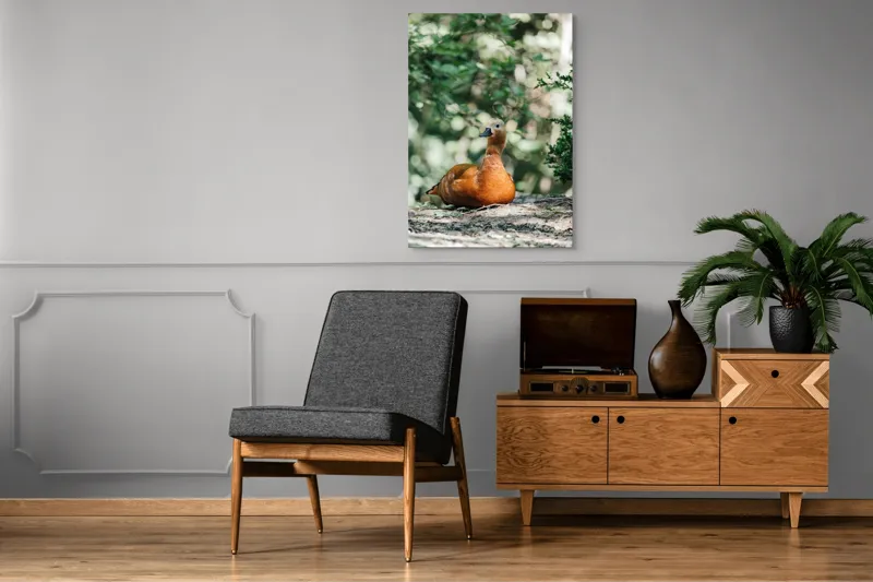 Tablou Canvas, "Rață roșcată odihnindu-se în pădure", 70 x 100 cm – poza 6