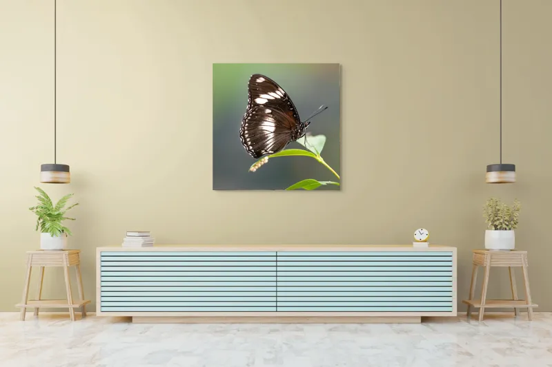 Tablou Canvas, "Fluture elegant pe frunză verde", Fluture, Aripi, Negru, Alb, Delicat, Frunză, Verde, Echilibru, Natură, Fragilitate, 100 x 100 cm – poza 5