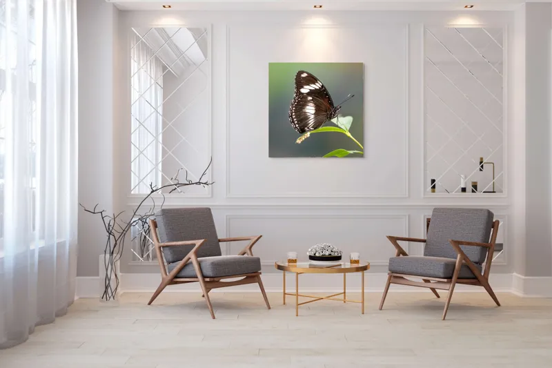 Tablou Canvas, "Fluture elegant pe frunză verde", Fluture, Aripi, Negru, Alb, Delicat, Frunză, Verde, Echilibru, Natură, Fragilitate, 100 x 100 cm – poza 7