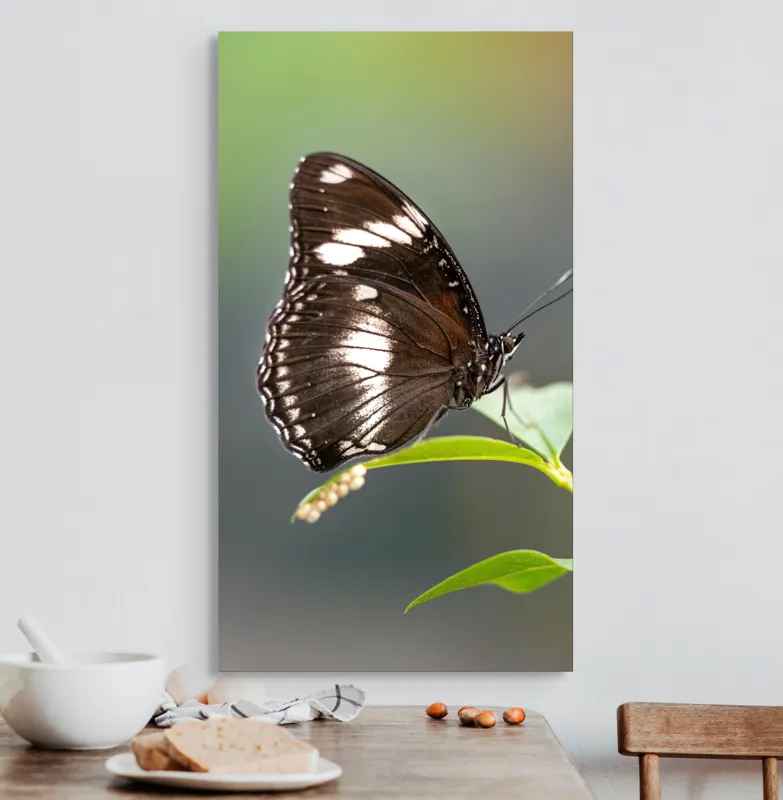 Tablou Canvas, "Fluture elegant pe frunză verde", Fluture, Aripi, Negru, Alb, Delicat, Frunză, Verde, Echilibru, Natură, Fragilitate, 50 x 90 cm – poza 3