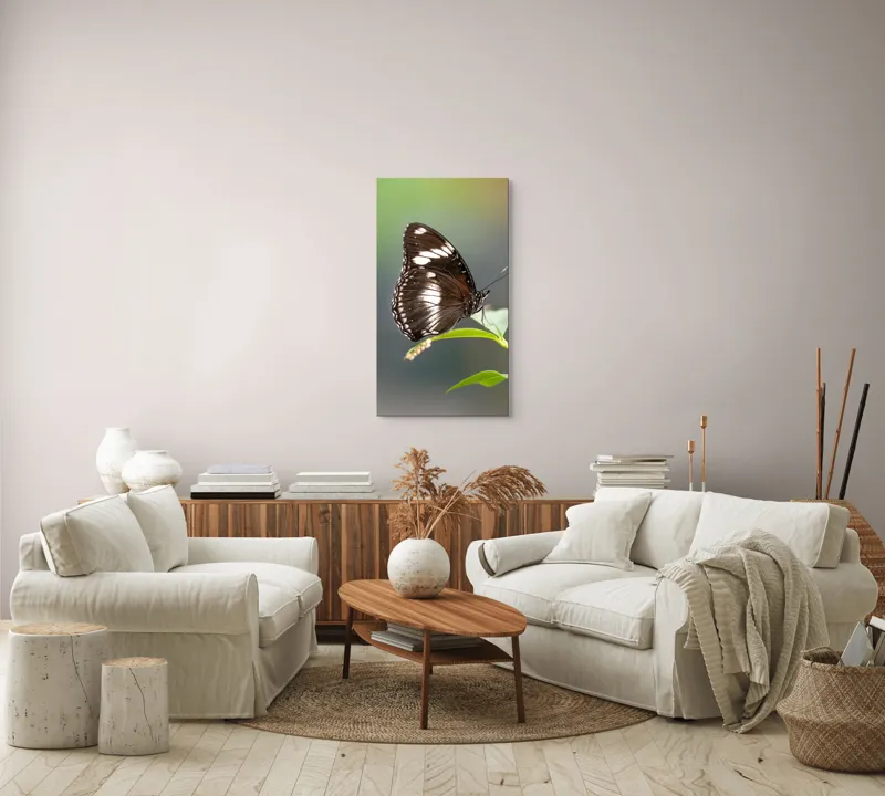 Tablou Canvas, "Fluture elegant pe frunză verde", Fluture, Aripi, Negru, Alb, Delicat, Frunză, Verde, Echilibru, Natură, Fragilitate, 50 x 90 cm – poza 7