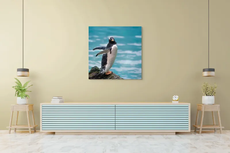 Tablou Canvas, "Pinguinul pe stâncă lângă apă", Pinguin, Ocean, Valuri, Piatra, Nature, Libertate, Frumusețe, Apă, Serenitate, Eleganță, 100 x 100 cm – poza 5