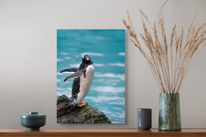 Tablou Canvas, "Pinguinul pe stâncă lângă apă", Pinguin, Ocean, Valuri, Piatra, Nature, Libertate, Frumusețe, Apă, Serenitate, Eleganță, 39 x 54 cm – poza 3