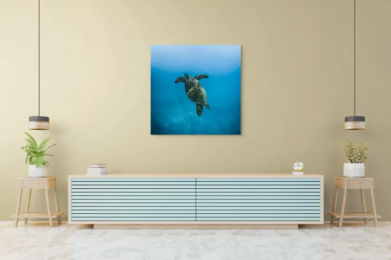 Tablou Canvas, "Turtle dansând în adâncuri albastre", Testoasă, Ocean, Albastru, Liniște, Majestuos, Natură, Subacvatic, Libertate, Grație, Splendoare, 100 x 100 cm – poza 5