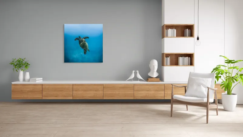 Tablou Canvas, "Turtle dansând în adâncuri albastre", Testoasă, Ocean, Albastru, Liniște, Majestuos, Natură, Subacvatic, Libertate, Grație, Splendoare, 100 x 100 cm – poza 8