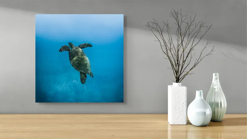 Tablou Canvas, "Turtle dansând în adâncuri albastre", Testoasă, Ocean, Albastru, Liniște, Majestuos, Natură, Subacvatic, Libertate, Grație, Splendoare, 50 x 50 cm – poza 3