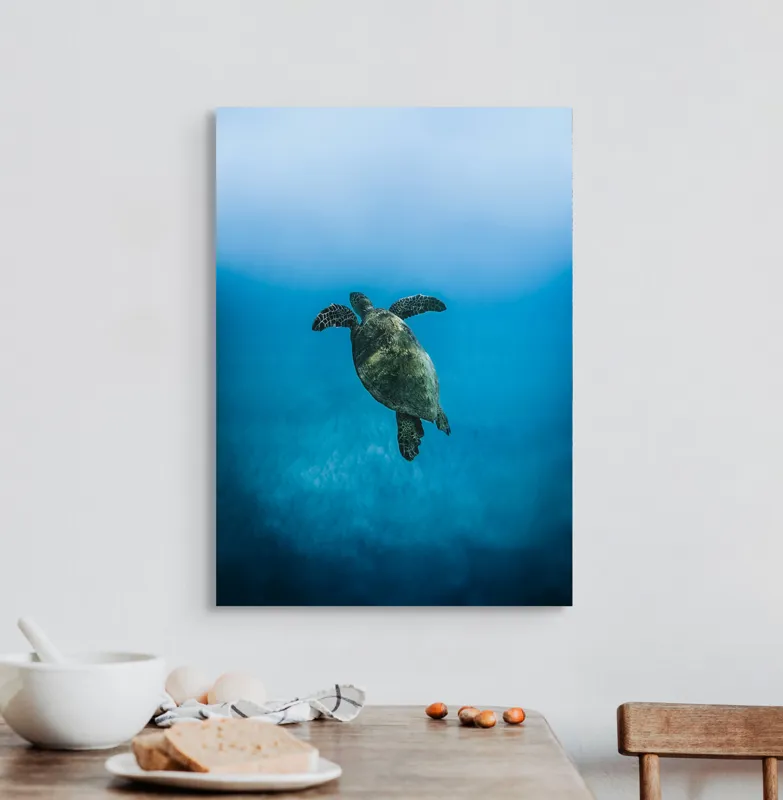 Tablou Canvas, "Turtle dansând în adâncuri albastre", Testoasă, Ocean, Albastru, Liniște, Majestuos, Natură, Subacvatic, Libertate, Grație, Splendoare, 50 x 70 cm – poza 3