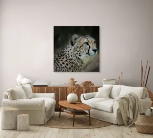 Tablou Canvas, "Grația și viteza ghepardului în sălbăticie", 100 x 100 cm – poza 3