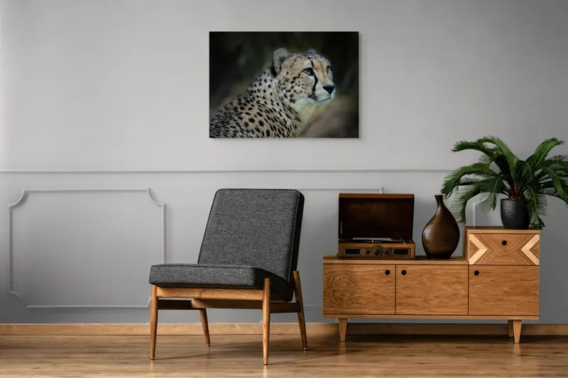 Tablou Canvas, "Grația și viteza ghepardului în sălbăticie", 100 x 70 cm – poza 8