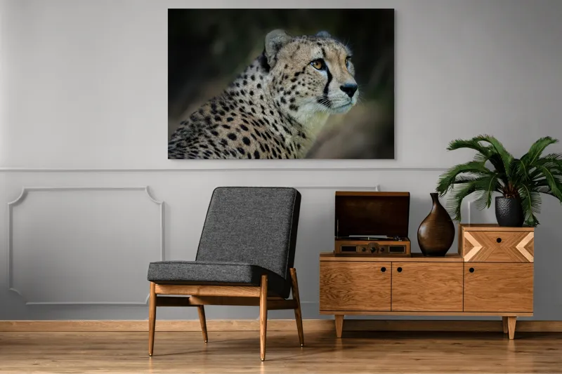 Tablou Canvas, "Grația și viteza ghepardului în sălbăticie", 150 x 100 cm – poza 8