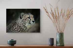 Tablou Canvas, "Grația și viteza ghepardului în sălbăticie", 54 x 39 cm – poza 4