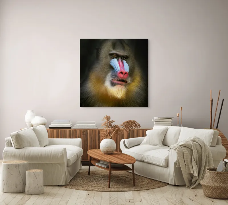 Tablou Canvas, "Mandrill în liniștea pădurii tropicale", Mandrilă, Frumos, Colorat, Impresionant, Regal, Atrăgător, Exotic, Majestuos, Intrigant, Intimidant, 100 x 100 cm – poza 3