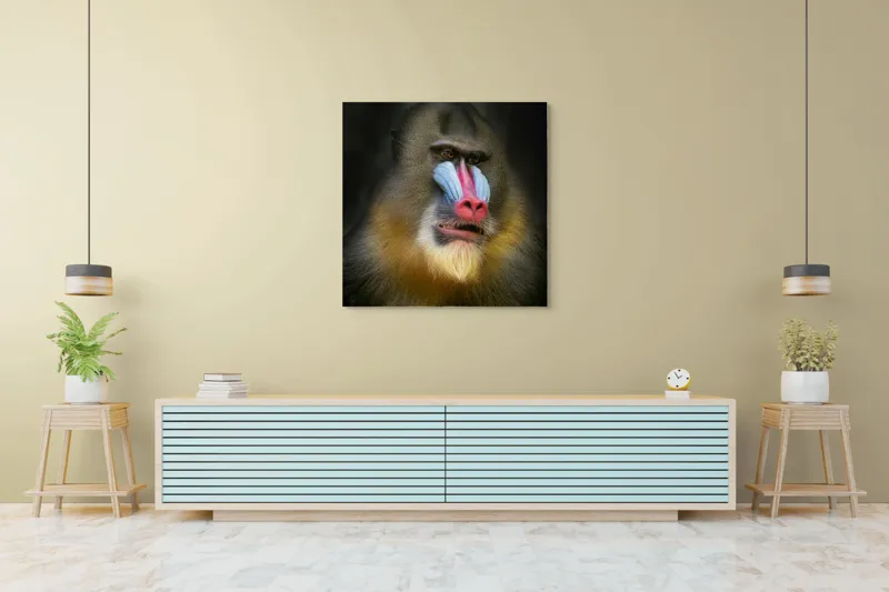 Tablou Canvas, "Mandrill în liniștea pădurii tropicale", Mandrilă, Frumos, Colorat, Impresionant, Regal, Atrăgător, Exotic, Majestuos, Intrigant, Intimidant, 100 x 100 cm – poza 5