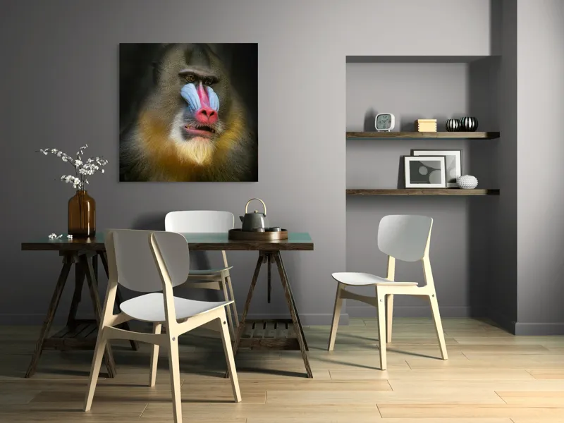 Tablou Canvas, "Mandrill în liniștea pădurii tropicale", Mandrilă, Frumos, Colorat, Impresionant, Regal, Atrăgător, Exotic, Majestuos, Intrigant, Intimidant, 100 x 100 cm – poza 6
