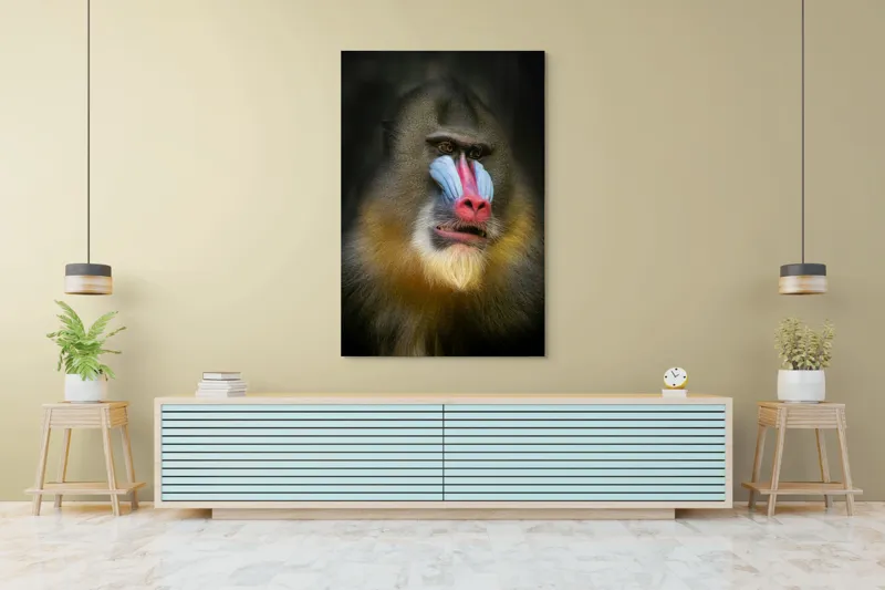 Tablou Canvas, "Mandrill în liniștea pădurii tropicale", Mandrilă, Frumos, Colorat, Impresionant, Regal, Atrăgător, Exotic, Majestuos, Intrigant, Intimidant, 100 x 150 cm – poza 4