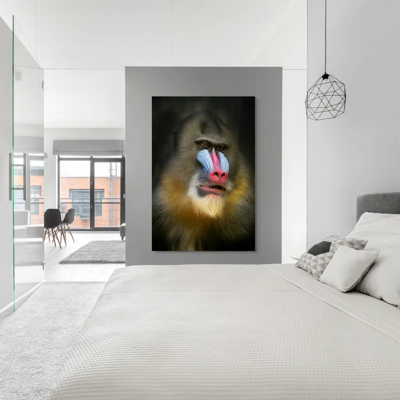 Tablou Canvas, "Mandrill în liniștea pădurii tropicale", Mandrilă, Frumos, Colorat, Impresionant, Regal, Atrăgător, Exotic, Majestuos, Intrigant, Intimidant, 100 x 150 cm – poza 5