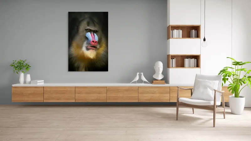 Tablou Canvas, "Mandrill în liniștea pădurii tropicale", Mandrilă, Frumos, Colorat, Impresionant, Regal, Atrăgător, Exotic, Majestuos, Intrigant, Intimidant, 100 x 150 cm – poza 8