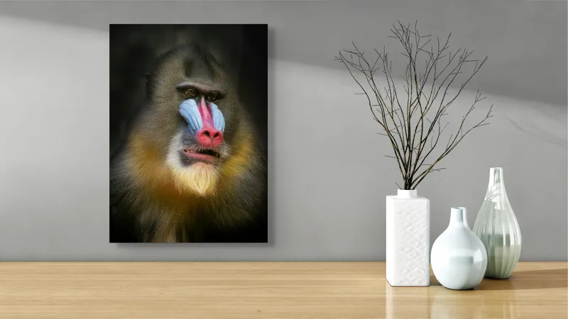 Tablou Canvas, "Mandrill în liniștea pădurii tropicale", Mandrilă, Frumos, Colorat, Impresionant, Regal, Atrăgător, Exotic, Majestuos, Intrigant, Intimidant, 39 x 54 cm – poza 4
