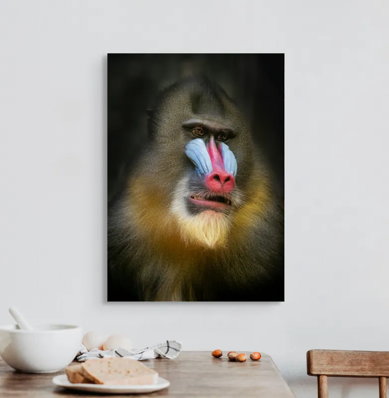 Tablou Canvas, "Mandrill în liniștea pădurii tropicale", Mandrilă, Frumos, Colorat, Impresionant, Regal, Atrăgător, Exotic, Majestuos, Intrigant, Intimidant, 50 x 70 cm – poza 3