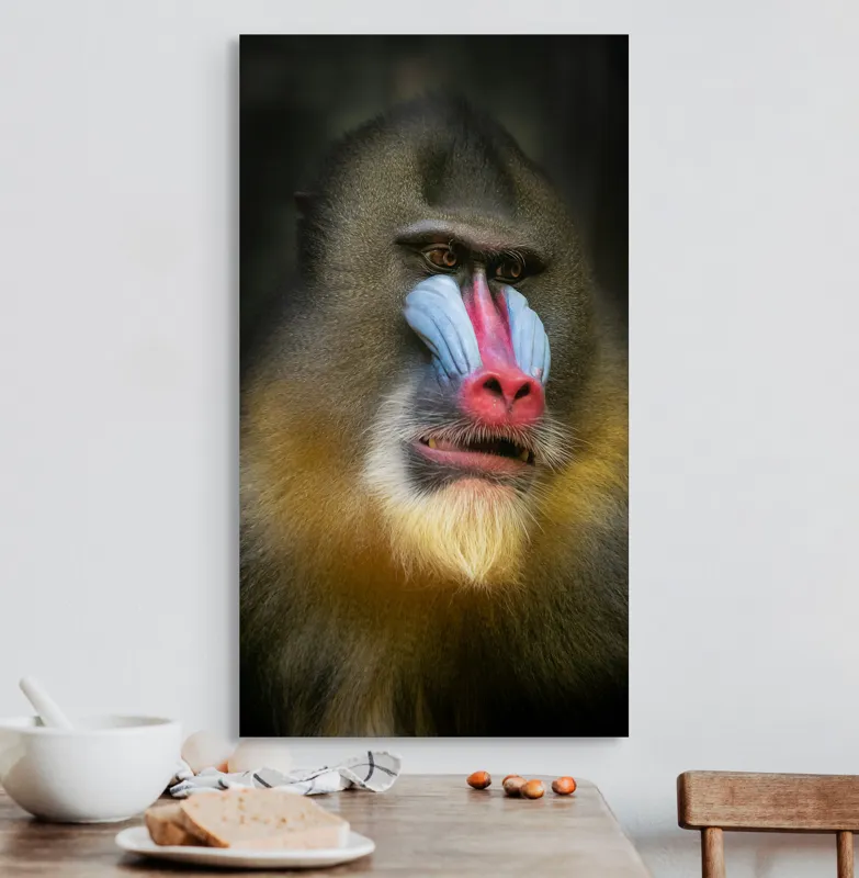 Tablou Canvas, "Mandrill în liniștea pădurii tropicale", Mandrilă, Frumos, Colorat, Impresionant, Regal, Atrăgător, Exotic, Majestuos, Intrigant, Intimidant, 50 x 90 cm – poza 3