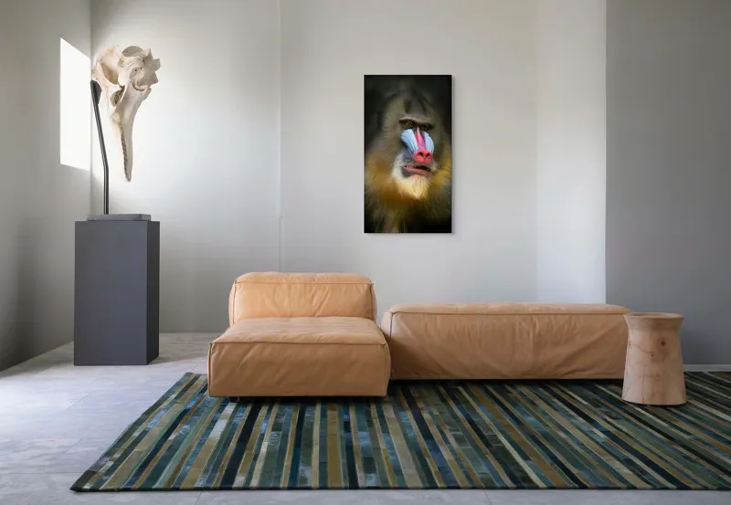 Tablou Canvas, "Mandrill în liniștea pădurii tropicale", Mandrilă, Frumos, Colorat, Impresionant, Regal, Atrăgător, Exotic, Majestuos, Intrigant, Intimidant, 50 x 90 cm – poza 5