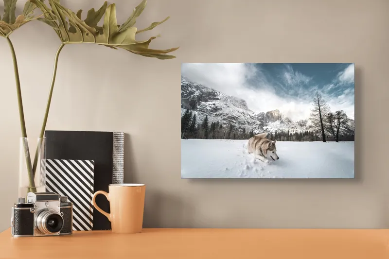 Tablou Canvas, "Husky explorând peisajul montan de iarnă", Munți, Zăpadă, Husky, Norii, Iarnă, Peisaj, Arbori, Cer, Aventură, Frig., 39 x 26 cm – poza 3