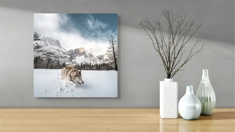 Tablou Canvas, "Husky explorând peisajul montan de iarnă", Munți, Zăpadă, Husky, Norii, Iarnă, Peisaj, Arbori, Cer, Aventură, Frig., 50 x 50 cm – poza 3