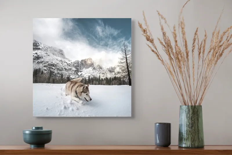 Tablou Canvas, "Husky explorând peisajul montan de iarnă", Munți, Zăpadă, Husky, Norii, Iarnă, Peisaj, Arbori, Cer, Aventură, Frig., 50 x 50 cm – poza 4