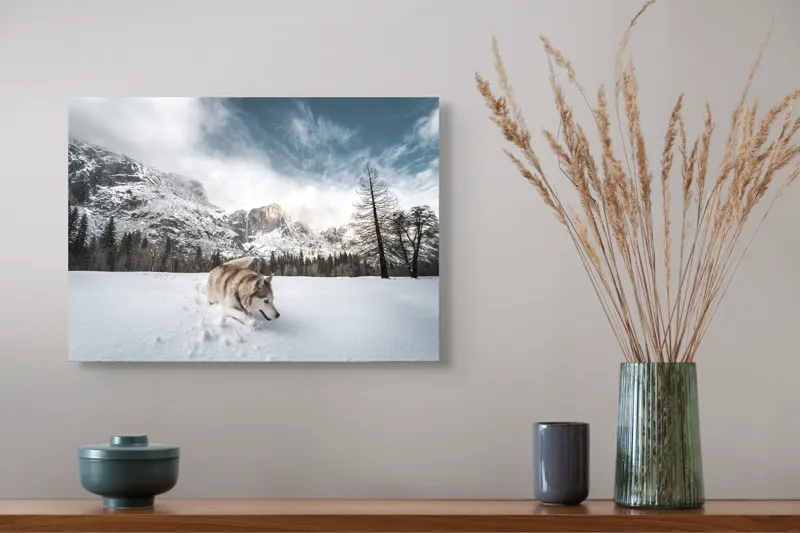 Tablou Canvas, "Husky explorând peisajul montan de iarnă", Munți, Zăpadă, Husky, Norii, Iarnă, Peisaj, Arbori, Cer, Aventură, Frig., 54 x 39 cm – poza 4