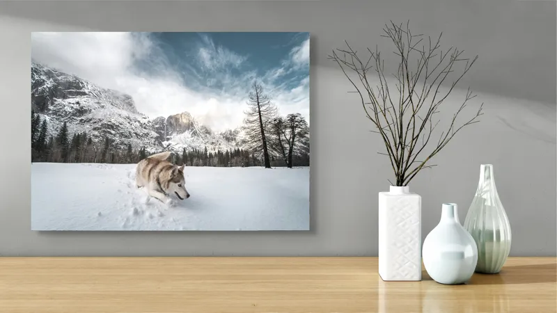 Tablou Canvas, "Husky explorând peisajul montan de iarnă", Munți, Zăpadă, Husky, Norii, Iarnă, Peisaj, Arbori, Cer, Aventură, Frig., 70 x 50 cm – poza 3