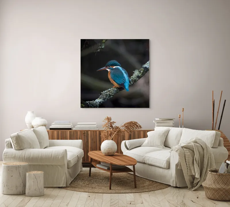 Tablou Canvas, "Pescăraș albastru pe ramură muscată", Pene, Albastru, Pasăre, Culoare, Ramură, Plasă, Natură, 100 x 100 cm – poza 3