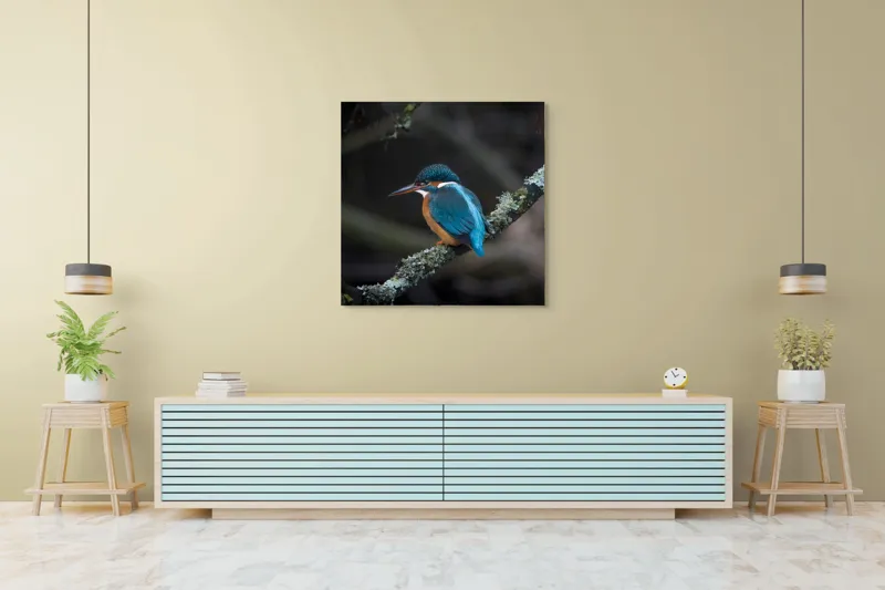 Tablou Canvas, "Pescăraș albastru pe ramură muscată", Pene, Albastru, Pasăre, Culoare, Ramură, Plasă, Natură, 100 x 100 cm – poza 5