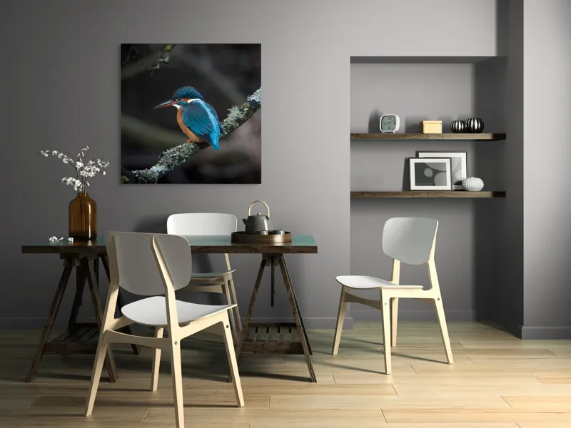 Tablou Canvas, "Pescăraș albastru pe ramură muscată", Pene, Albastru, Pasăre, Culoare, Ramură, Plasă, Natură, 100 x 100 cm – poza 6