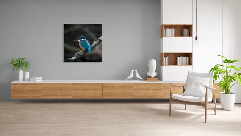 Tablou Canvas, "Pescăraș albastru pe ramură muscată", Pene, Albastru, Pasăre, Culoare, Ramură, Plasă, Natură, 100 x 100 cm – poza 8