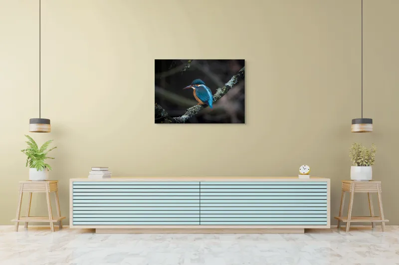 Tablou Canvas, "Pescăraș albastru pe ramură muscată", Pene, Albastru, Pasăre, Culoare, Ramură, Plasă, Natură, 100 x 70 cm – poza 4