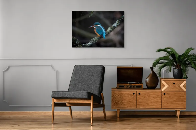 Tablou Canvas, "Pescăraș albastru pe ramură muscată", Pene, Albastru, Pasăre, Culoare, Ramură, Plasă, Natură, 100 x 70 cm – poza 8