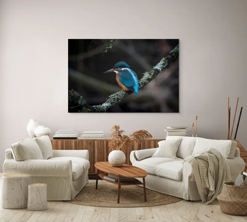 Tablou Canvas, "Pescăraș albastru pe ramură muscată", Pene, Albastru, Pasăre, Culoare, Ramură, Plasă, Natură, 150 x 100 cm – poza 3