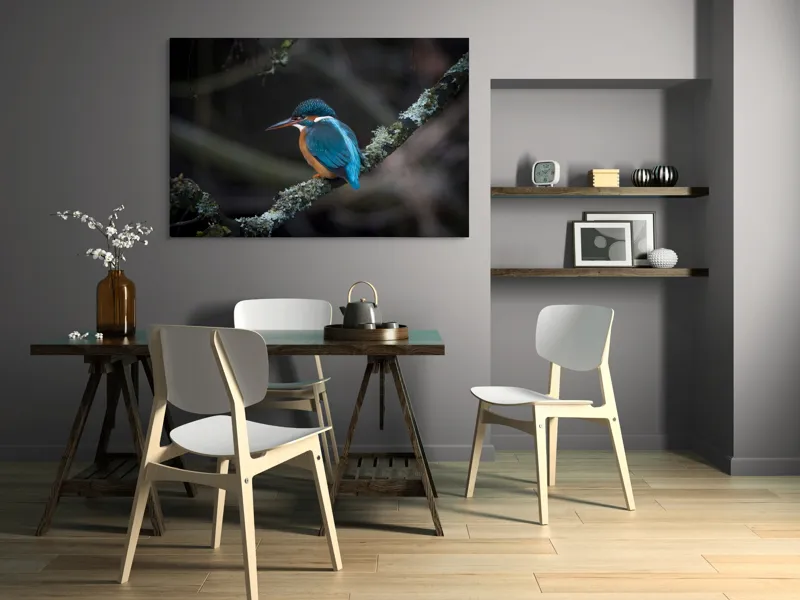Tablou Canvas, "Pescăraș albastru pe ramură muscată", Pene, Albastru, Pasăre, Culoare, Ramură, Plasă, Natură, 150 x 100 cm – poza 5
