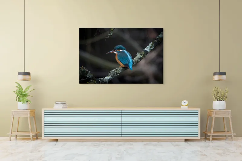 Tablou Canvas, "Pescăraș albastru pe ramură muscată", Pene, Albastru, Pasăre, Culoare, Ramură, Plasă, Natură, 150 x 100 cm – poza 6