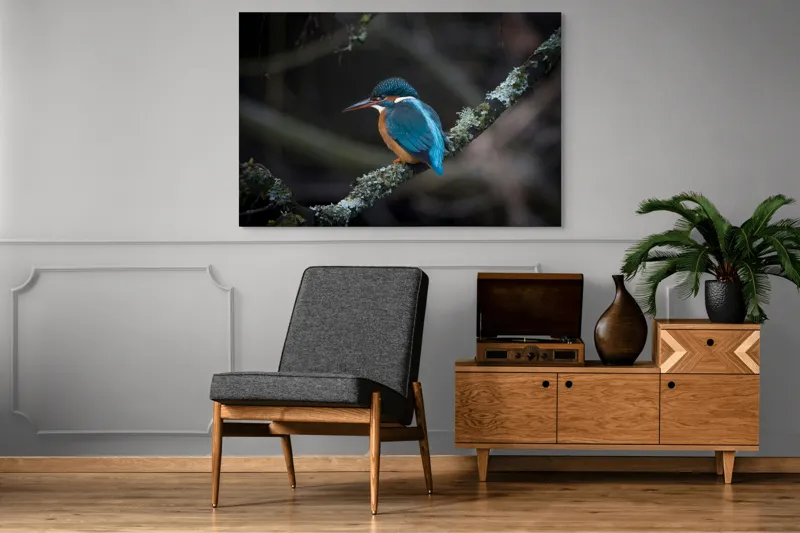Tablou Canvas, "Pescăraș albastru pe ramură muscată", Pene, Albastru, Pasăre, Culoare, Ramură, Plasă, Natură, 150 x 100 cm – poza 8