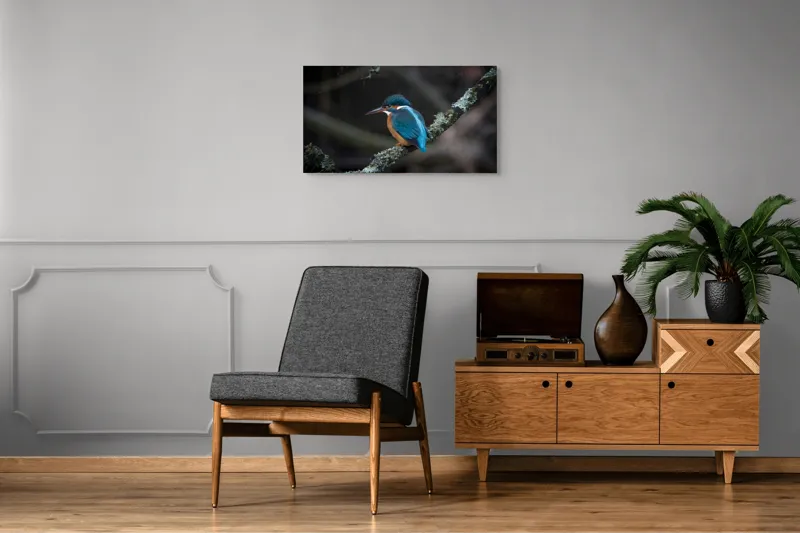 Tablou Canvas, "Pescăraș albastru pe ramură muscată", Pene, Albastru, Pasăre, Culoare, Ramură, Plasă, Natură, 90 x 50 cm – poza 6